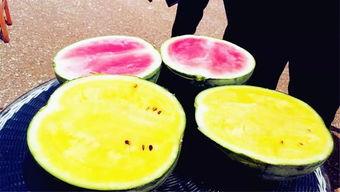 国外吃瓜爆料叫什么来着,揭秘国外“吃瓜爆料”背后的真相与内幕